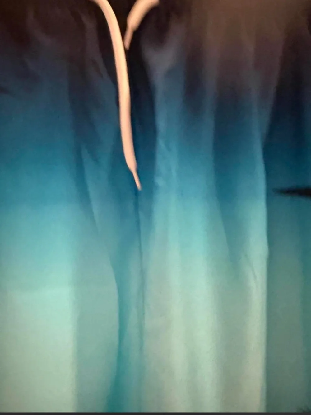 Men’s Ombre Blue Palm Tree Print Beach Shorts Swim Trunks XXL Tropical Resort